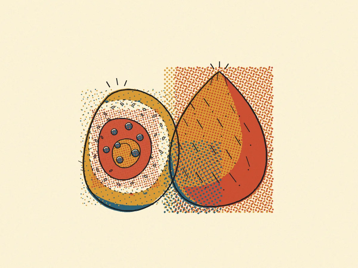 Arancini, illustrated