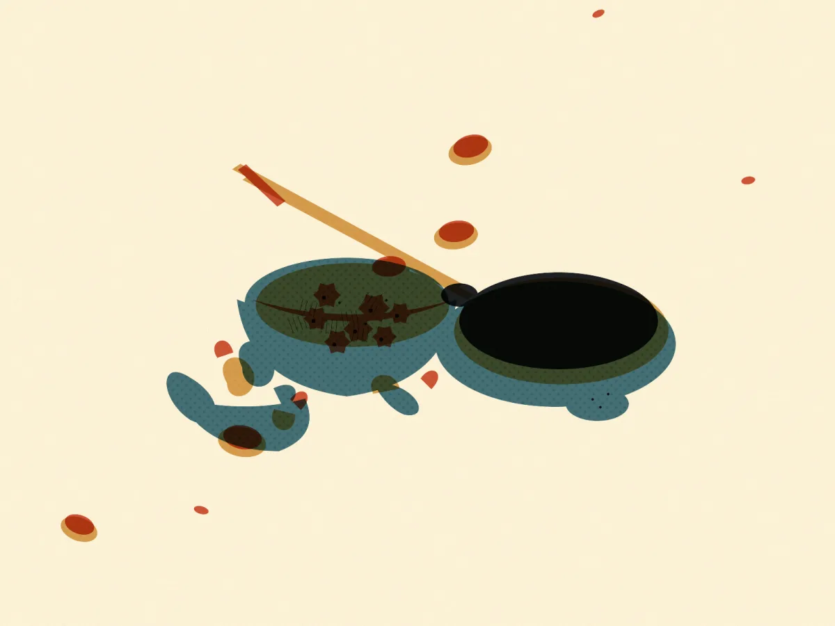Bun Cha, illustrated