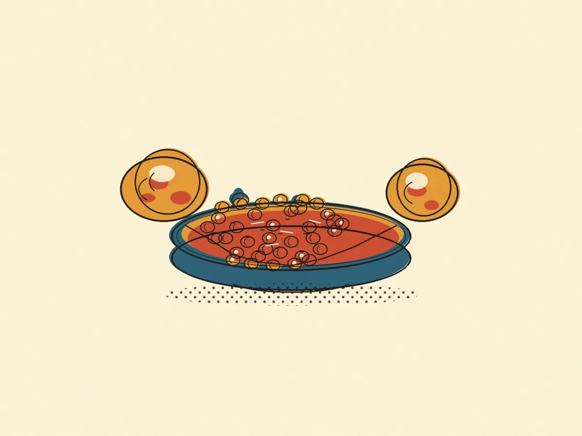 Chana Masala, illustrated