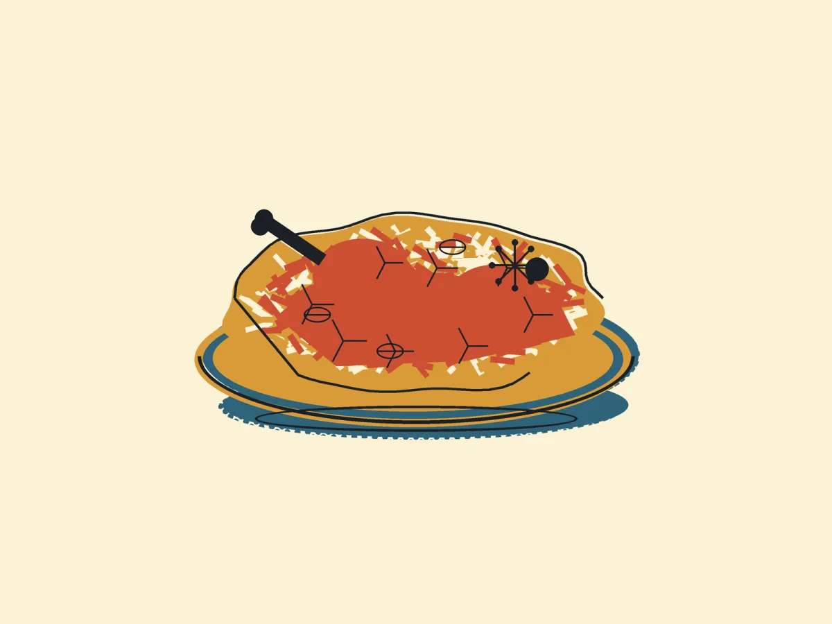Chicken Biryani, illustrated