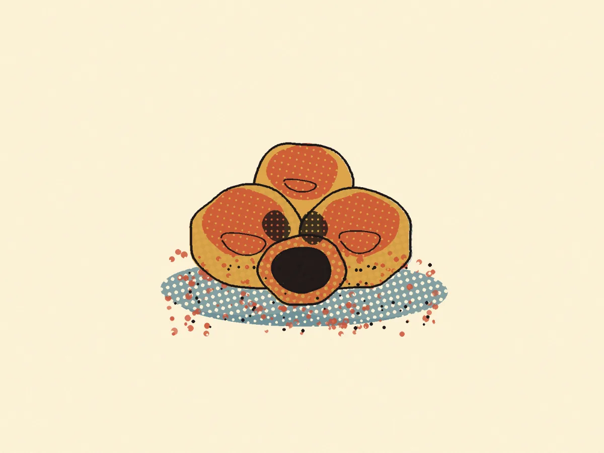 Chocolate Truffle, illustrated
