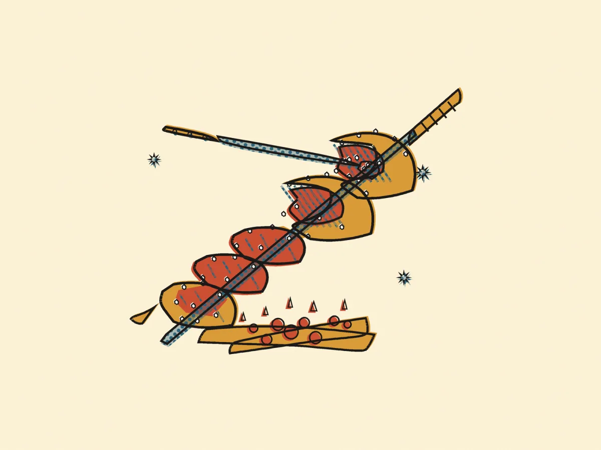 Churrasco, illustrated
