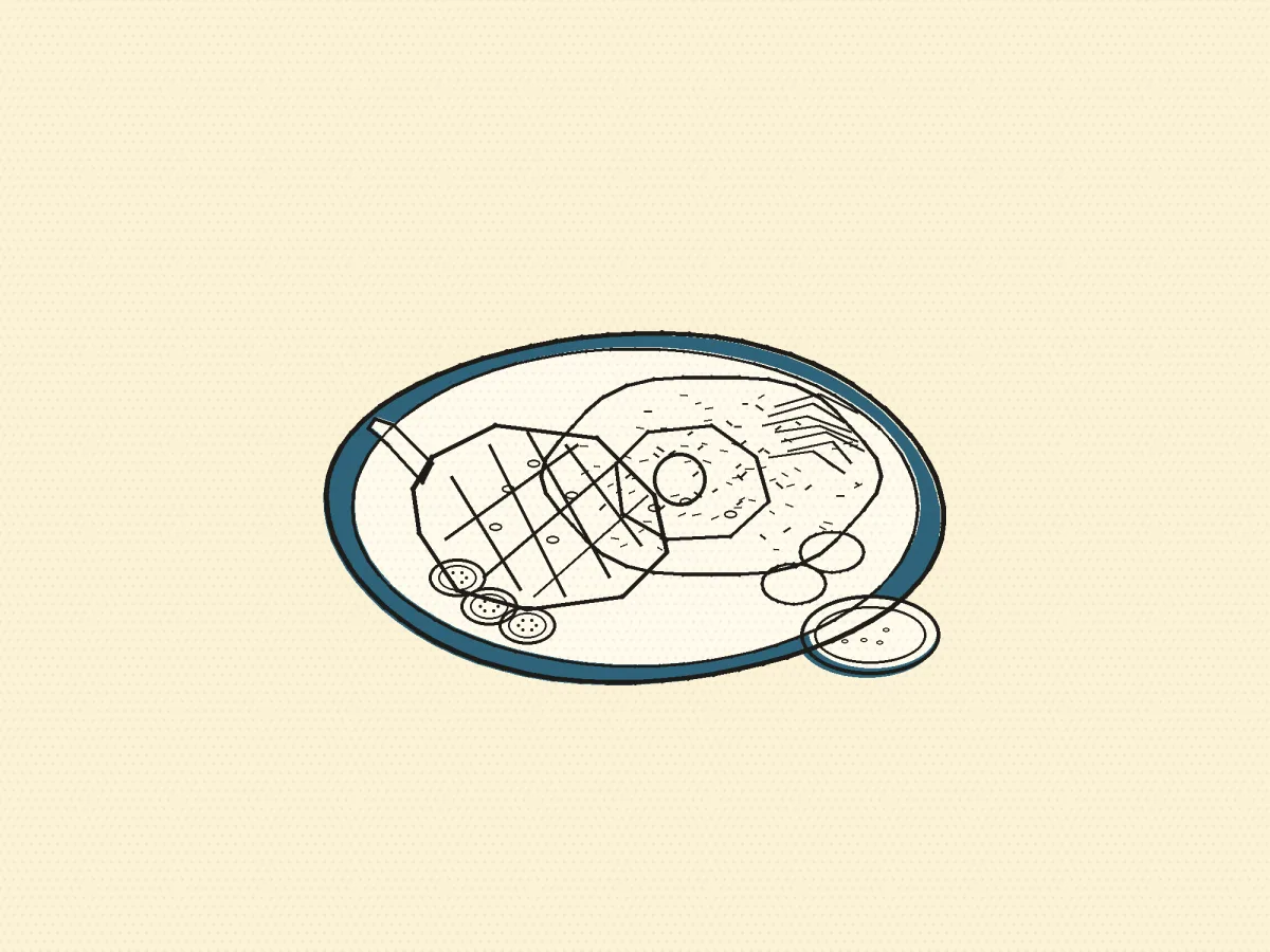 Com Tam, illustrated