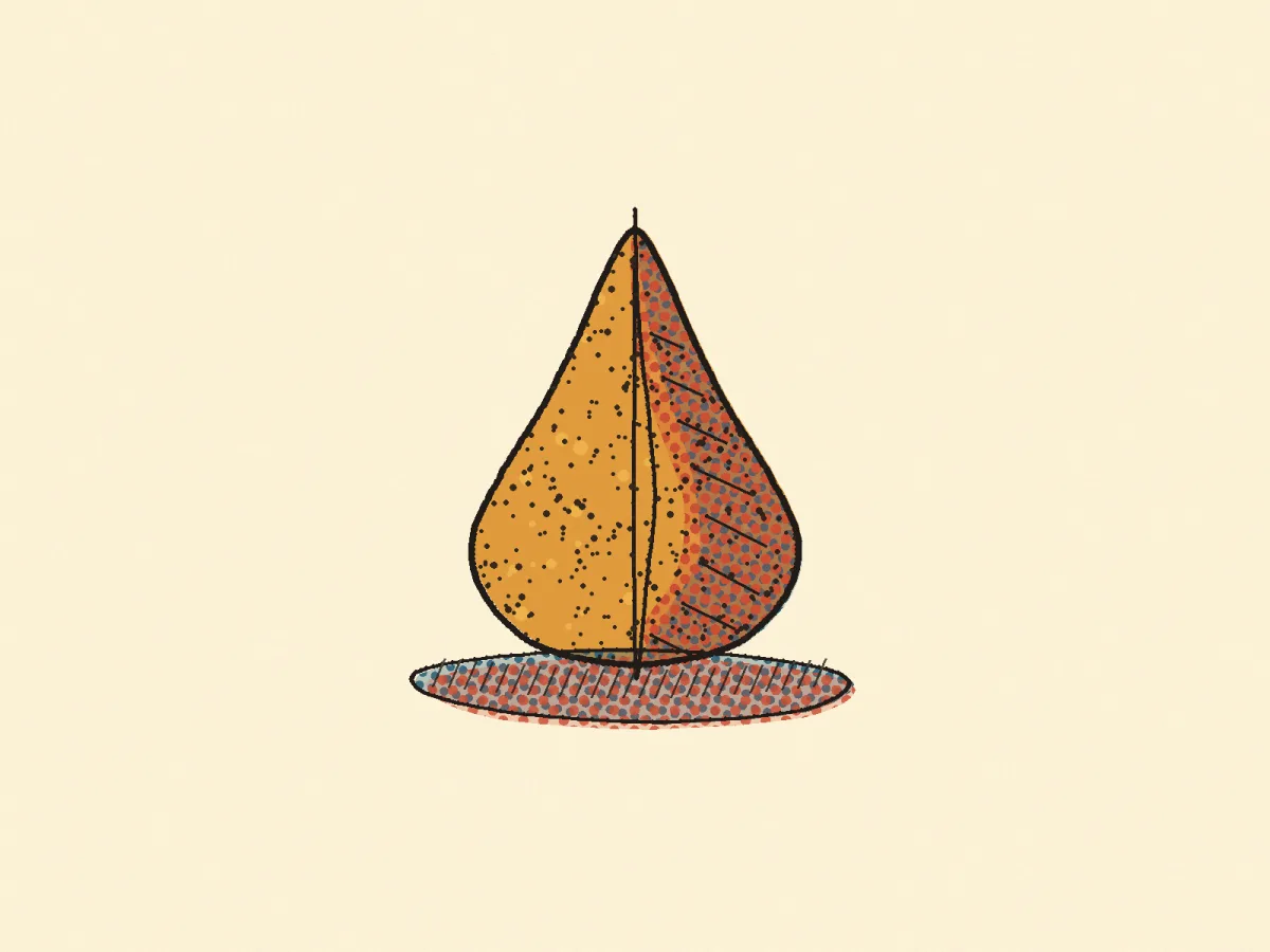 Coxinha, illustrated
