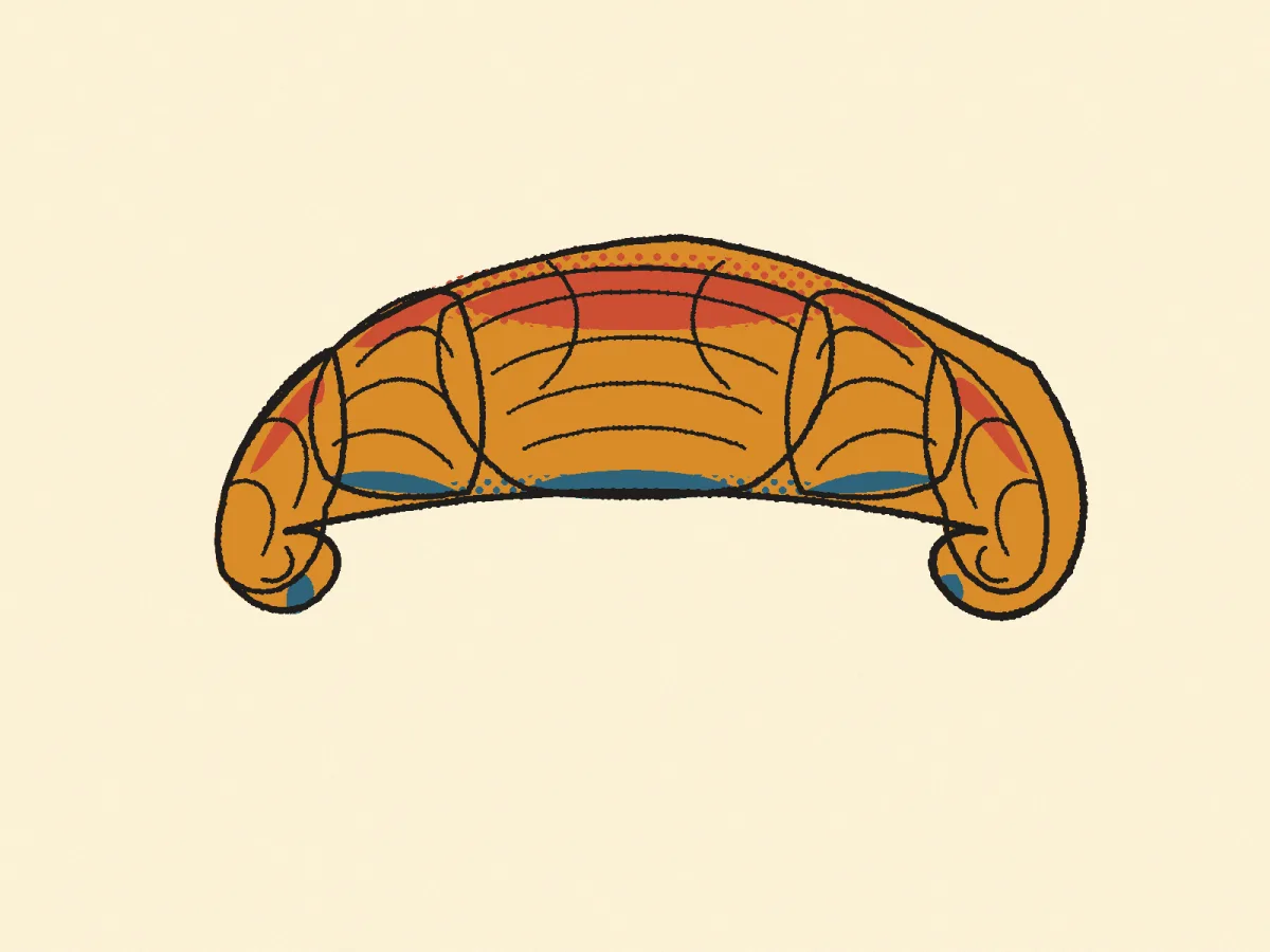 Croissant, illustrated